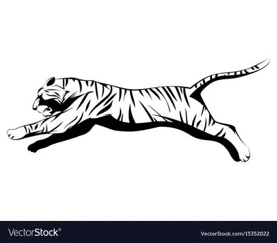 Прыжок тигра (4 фотографии) » Невседома