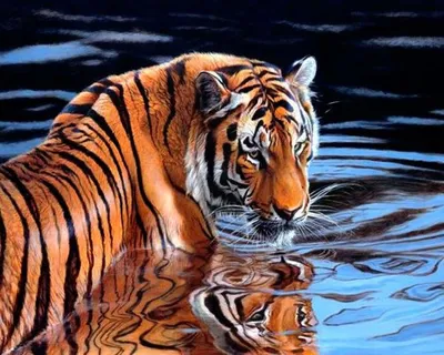 Скачать обои тигр, вода, tiger, water разрешение 1920x1200 #46230