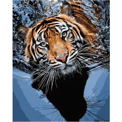 Фотообои Тигр в воде на заказ любой размер, код:2465 | ЭкоПринт