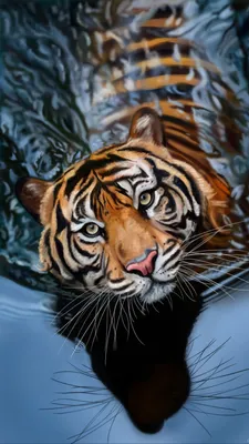 Скачать 1350x2400 тигр, вода, арт, большая кошка, хищник, полосатый обои,  картинки iphone 8+/7+/6s+/6+ for parallax