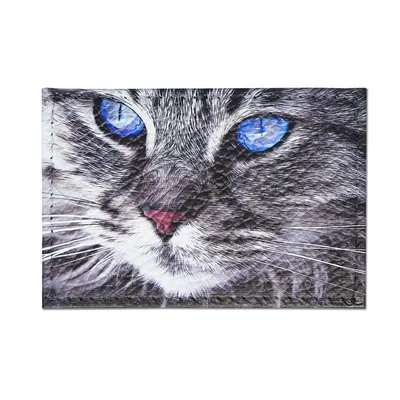 Милый молодой черно-белый тигровый кот с голубыми глазами, стоящими на  задних лапах Девушка с карандашом в руке играет с котом Стоковое Фото -  изображение насчитывающей смешно, утеха: 161164872