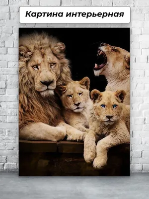 Красивые львы и тигры - 79 фото