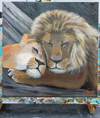 Картинки львов и львиц - 77 фото