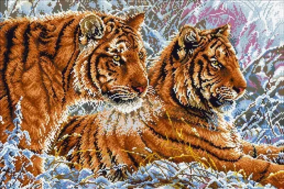 Скачать обои белый, взгляд, поза, темный фон, рыжий, пара, тигры, дуэт,  раздел кошки в разрешении 1920x1408