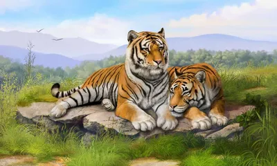 Пара тигров в снегу. Обои с животными, картинки, фото 1024x768