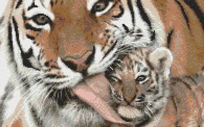 Дружба тигра и человека: 6 фотографий с дружескими отношениями между  хищниками и людьми - Рамблер/женский