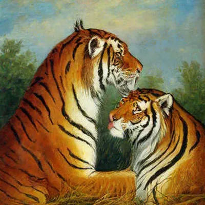 Поцелуй тигра