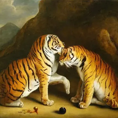 Тигры не целуются со львами - Штевнер Таня - Издательство Альфа-книга