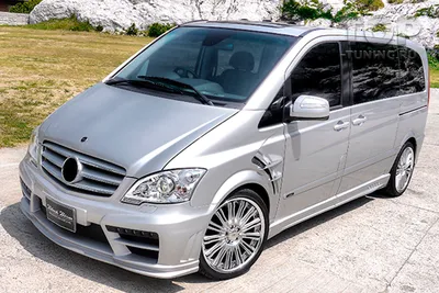 Аэродинамический обвес WALD Black Bison для Mercedes Viano W639