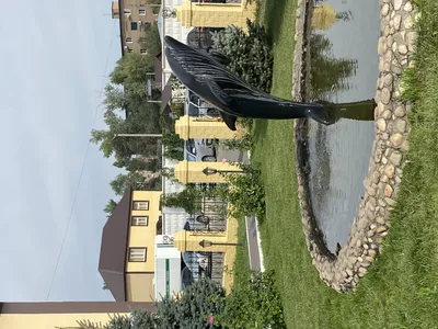 Галявиева, устроившего стрельбу в школе Казани, отправили в «Чёрный дельфин»