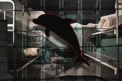 Тюрьма \"Черный дельфин\" фотография Stock | Adobe Stock