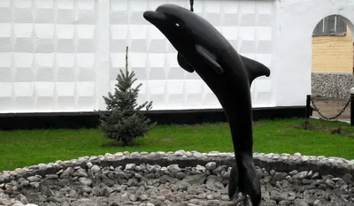 Чёрный дельфин» переводит заключённых под домашний арест на период карантина