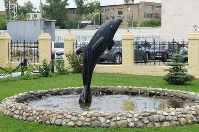 Галявиева, устроившего стрельбу в школе Казани, отправили в «Чёрный дельфин»
