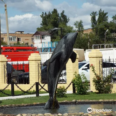 Inside Russia's Black Dolphin Prison