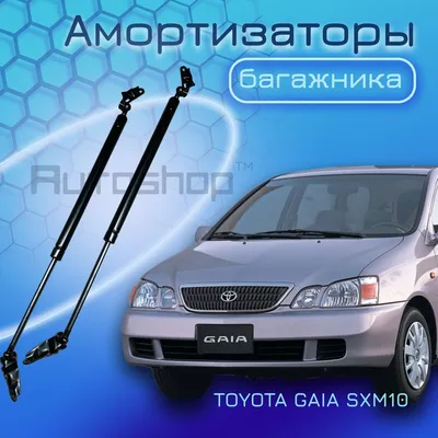 Toyota, Gaia, Автомат, Бензин, 2001