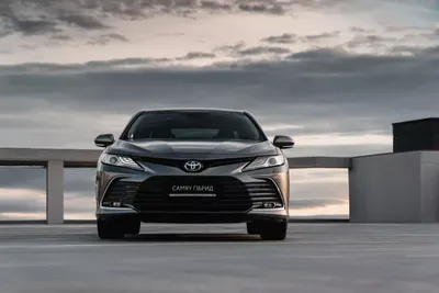 Новый гибрид Toyota Prius PHEV 2019: подробности очередного обновления