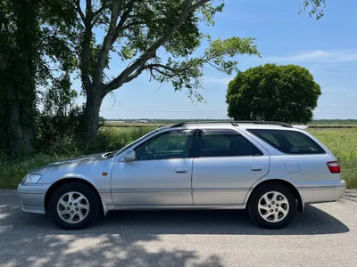 Just bought my first wagon! 1997 Toyota Camry gracia wagon! Fresh from the  import docks. 55k miles. : r/Toyota