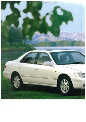 Фотография объявления Toyota Camry 1996 года за ~178 600 сом в Бишкеке  №13722 на Автобазе