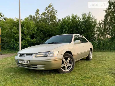 Toyota Camry: 1999 г., 3 л,: 510000 KGS ➤ Toyota | Бишкек | 75299932 ᐈ  lalafo.kg