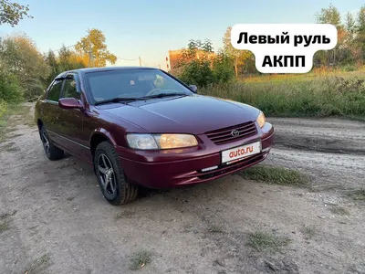 Купить Toyota Camry 1998 года в Алматы, цена 3700000 тенге. Продажа Toyota  Camry в Алматы - Aster.kz. №c741501