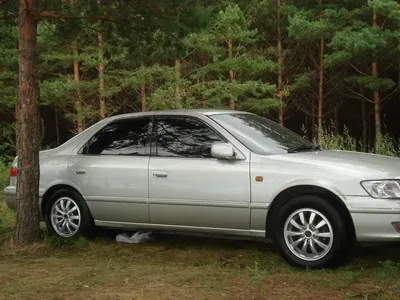 Чехлы на Toyota Camry 2001–2006 г.в. - купить в интернет-магазине  Shop-avtopilot.ru