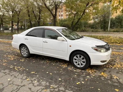 Купить Toyota Camry 2002 года в Алматы, цена 4500000 тенге. Продажа Toyota  Camry в Алматы - Aster.kz. №c891756