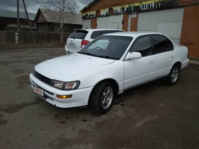 Toyota Corolla E100 Универсал 5 дв. 1991 – 2000: технические характеристики  и комплектации на сайте mbib.ru