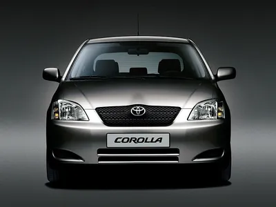 Светодиодные противотуманные фары с ангельскими глазками для Toyota Corolla  E120, E130 рестайлинг (2004-2007) - цена, отзывы, характеристики, фото,  оплата при получении
