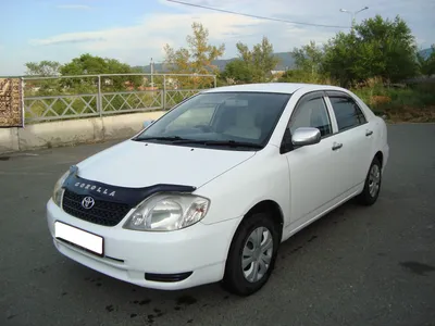Toyota Corolla (120) 1.5 бензиновый 2005 | рестайлинг 121 кузов на DRIVE2