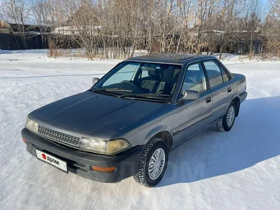 The Dream Car You Never Knew You Wanted: RWD-Converted, 2JZ-GTE-Swapped 1989  Corolla Hatchback