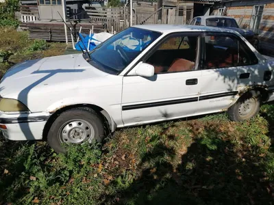 Toyota Corolla, 1990 год — 55 000 руб. — Общение — Корзина — Price-Altai.ru