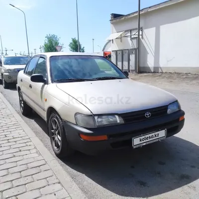 Купить Toyota Corolla 1993 года в Алматы, цена 800000 тенге. Продажа Toyota  Corolla в Алматы - Aster.kz. №c905891