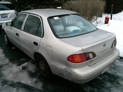 File:Toyota Corolla CE 1999 Canada back.jpg - Wikipedia