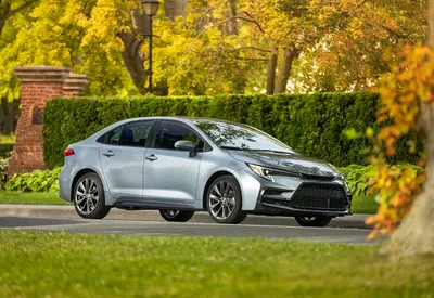2019 Toyota Corolla Review, Problems, Reliability, Value, Life Expectancy,  MPG