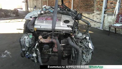 Сколько масла заливать в двигатель Тойота Эстима 2.2, 2.4, 3.0