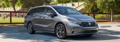 Ask the Expert: Should You Buy a Honda Odyssey or Toyota Sienna? | CarMax