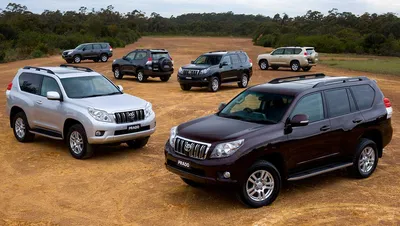 Used Toyota Land Cruiser Prado review: 2009-2013 | CarsGuide