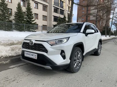 AUTO.RIA – Купить Белые авто Тойота Рав 4 - продажа Toyota RAV4 Белого цвета