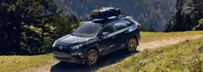 GREAT DEALS On The 2020 Toyota RAV4 In Owensboro, KY