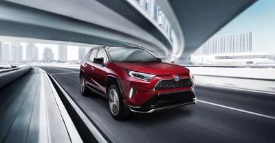 2023 Toyota RAV4 - News, reviews, picture galleries and videos - The Car  Guide
