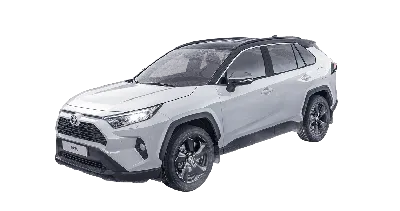 Toyota RAV4: Прочь с дороги - Ведомости