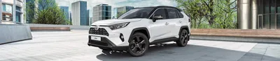 Toyota RAV4: отзывы владельцев Тойота Рав4 с фото на Авто.ру