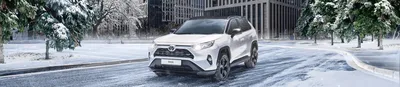 Обзор Toyota RAV4: версия 4.5 / Цифровой автомобиль