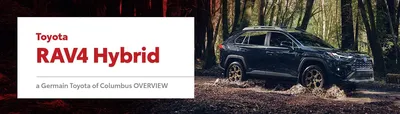 Toyota RAV4 Research | Priority Toyota Springfield