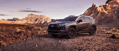 2022 Toyota RAV4 TRD Off-Road – All Color Options – Images | AUTOBICS -  YouTube