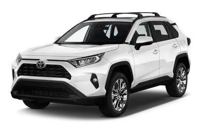 2019 Toyota RAV4 Prices, Reviews, and Photos - MotorTrend