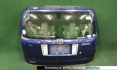 Коврики в салон автомобиля tyt-75, Toyota Succeed I, Тойота Саксид  (2002-2014), цвет темно-синий - купить по выгодной цене в интернет-магазине  OZON (572177164)
