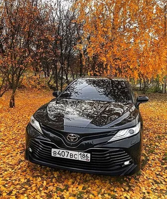 Стайлинг авто Toyota Camry 🚘 цветной автовинил серый графит