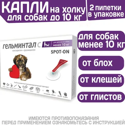 vetbox_msk - ТОКСОПЛАЗМОЗ У СОБАК🐕 ⠀ Ко мне на прием регулярно приводят  собак с токсоплазмозом, в основном, после кормления сырым мясом. ⠀ Что же  такое токсоплазмоз и как избежать заражения?👇🏻 ⠀ Токсоплазмоз