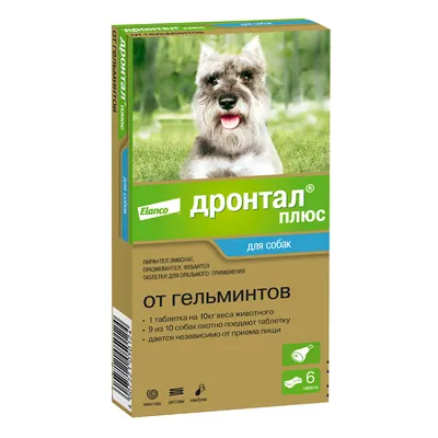 Капли (Inspector) Quadro С (1 пипетка) от блох, клещей и глистов для собак  от 10 до 25кг (ЛИЦЕНЗИЯ), купить оптом в Москве, цена, характеристики,  описание - Симбио - ЗооЛэнд